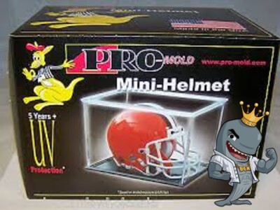 Pro-Mold UV Mini Helmet Holder, 5 Year+ Protection